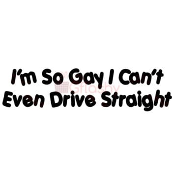 LGBT Bumper Stickers | Lesbian Car Decals